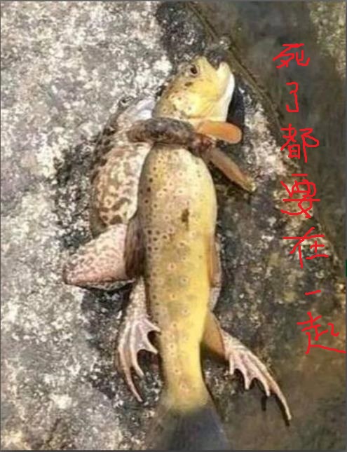 213期：必有所图